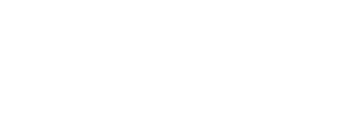 Momentum Artists